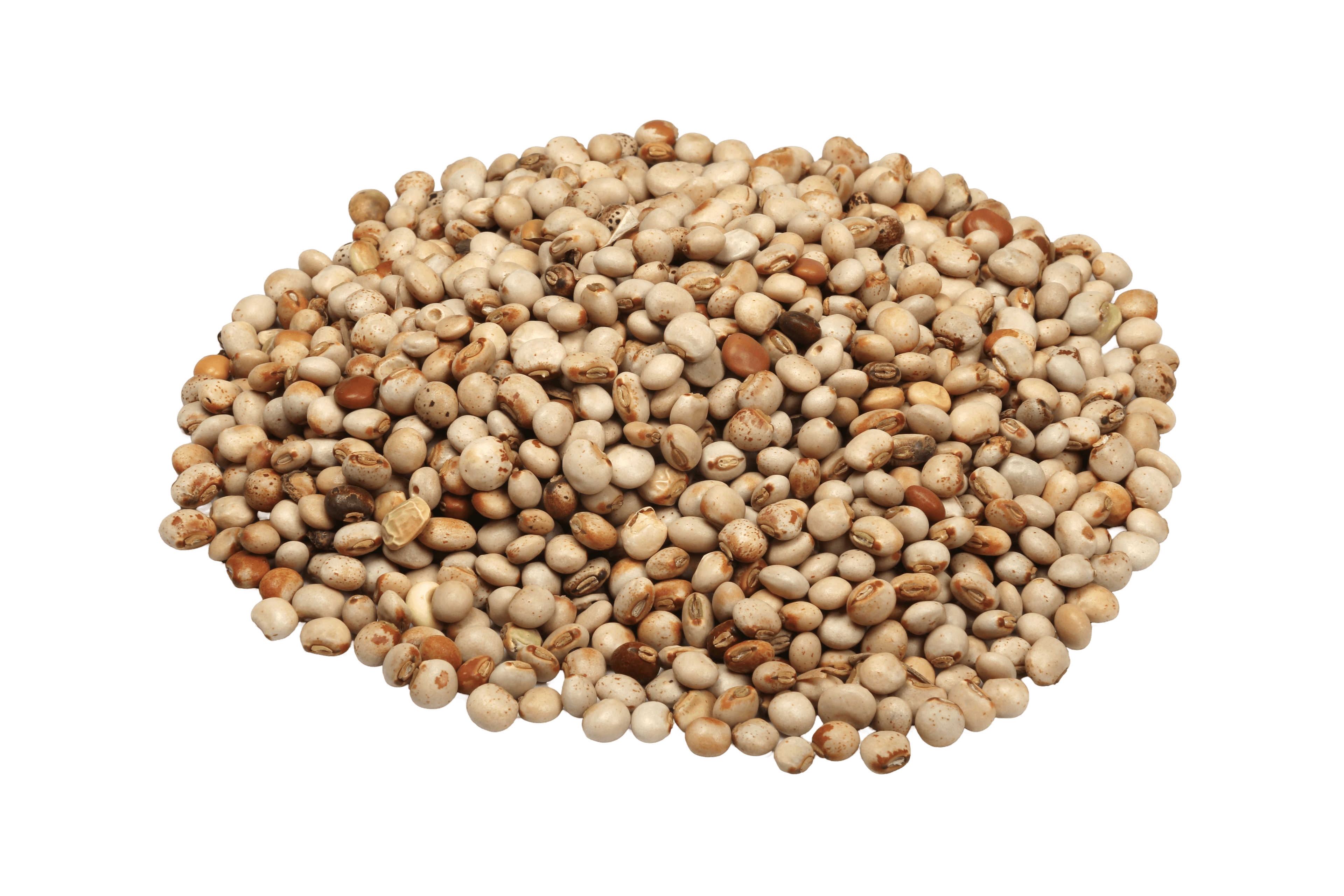 Polished Dal
